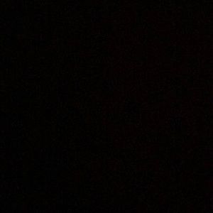 Meet your Posher, Bridget